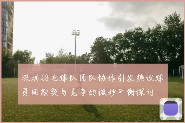 深圳羽毛球队团队协作引发热议球员间默契与竞争的微妙平衡探讨