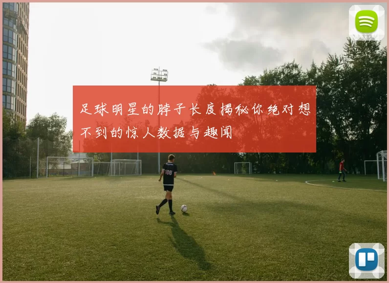 足球明星的脖子长度揭秘你绝对想不到的惊人数据与趣闻