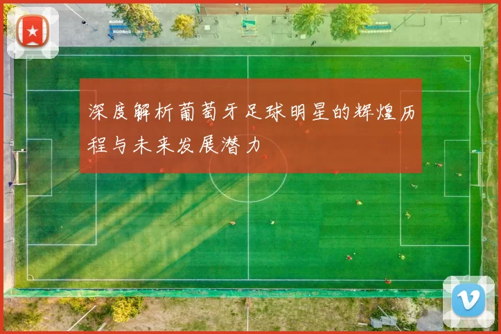 深度解析葡萄牙足球明星的辉煌历程与未来发展潜力