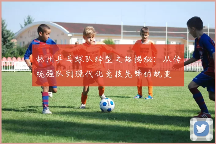杭州乒乓球队转型之路揭秘：从传统强队到现代化竞技先锋的蜕变