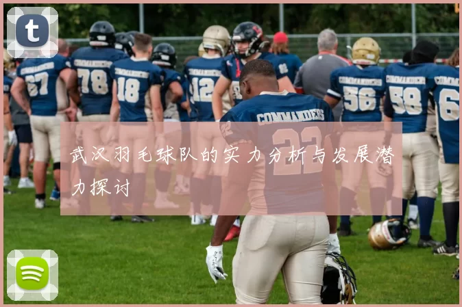武汉羽毛球队的实力分析与发展潜力探讨